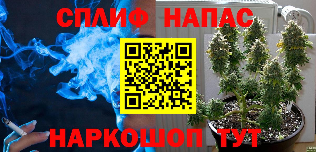 МАРИХУАНА сатива Гусиноозёрск